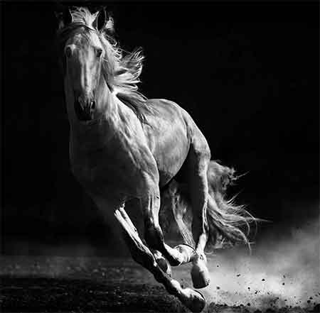 دانلود آهنگ دلبر احسان کلوانی ها